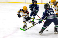 CSP_0604