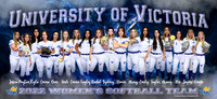 VikesSoftballBanner