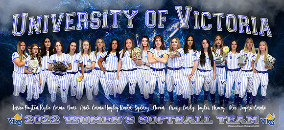 VikesSoftballBanner