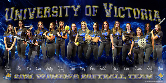 VikesSoftballBanner_FINAL_V1_with names