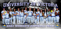 VikesSoftballBanner_2024