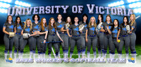 VikesSoftballBanner_2025