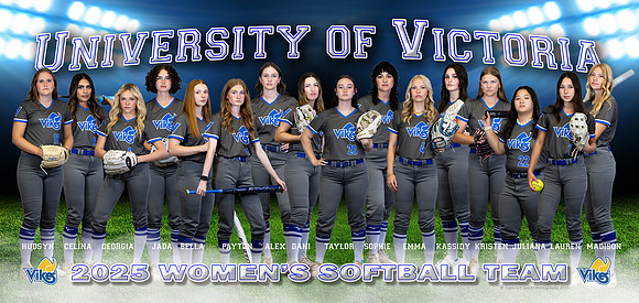 VikesSoftballBanner_2025