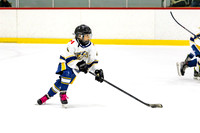 TriCities Predators