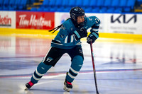 CSP_4505