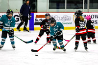 Game Session 1 - Black Ice vs Storm