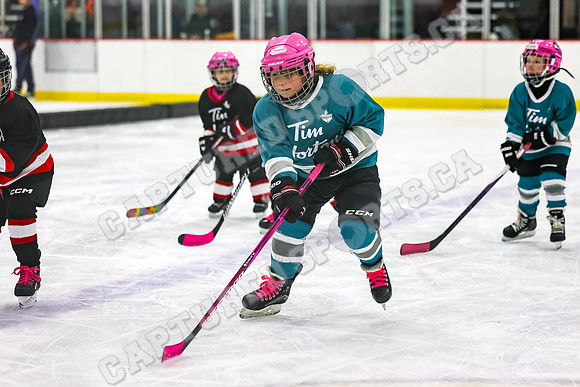 CSP_8785