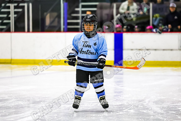 CSP_2115