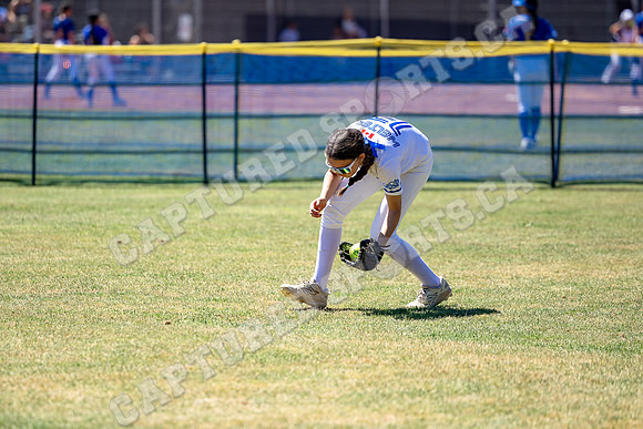 CSP_6135