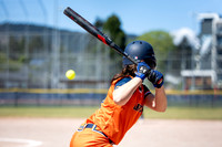 Ladysmith Chargers