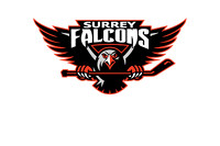 Surrey Falcons