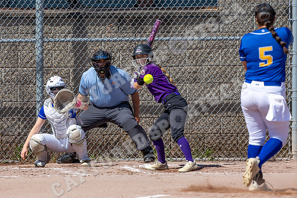 CSP_5313