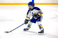 VRC Kings U9C2