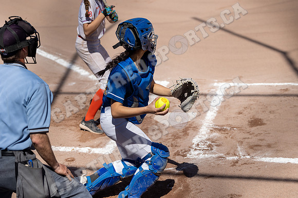 CSP_8479