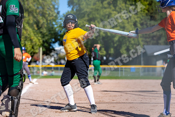 CSP_8437