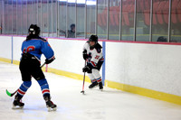 8T5A3733