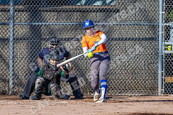 CSP_6469