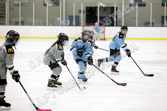 8T5A3352