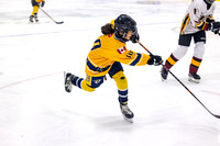 TriCities Predators