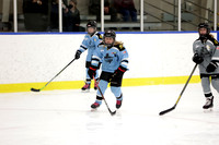 8T5A3334