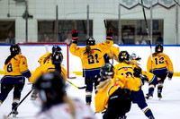 TriCities Predators
