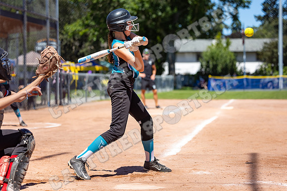 CSP_1182