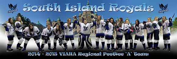 Banner_SouthIslandPeeWeeRoyals_2014