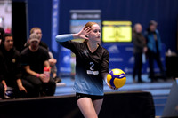 Volleyball