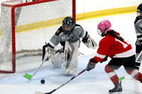 Reign U11C1 vs Campbell River Nov 12, 2021