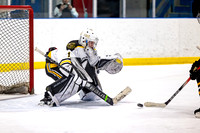 U15A Tier 2 Grizzlies vs Peninsula Eagles Feb 9, 2024