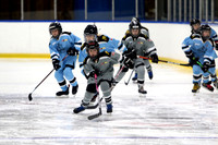 Reign U11C1 vs Reign C3 Nov 14, 2021 - Gold Medal