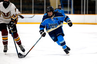 Vernon Lakers U15C