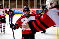 Falcons vs Capitals