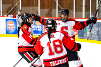 Falcons vs Reign