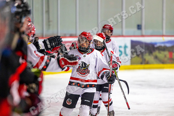 CSP_1481