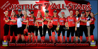 Banner_SeniorSoftballWorldSeries_2015