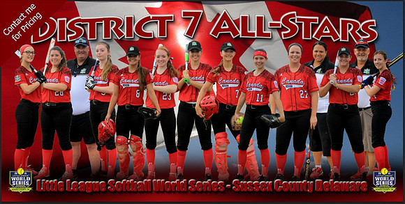 Banner_SeniorSoftballWorldSeries_2015