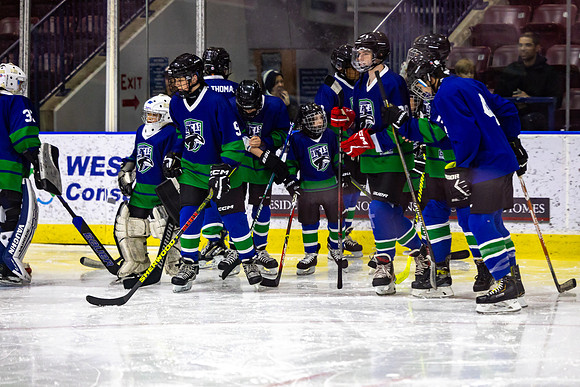 CSP_8869