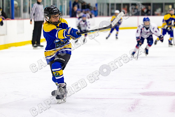 CSP_5944