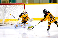 Peninsula Eagles U9C2
