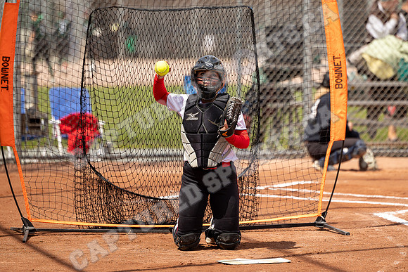 CSP_4690