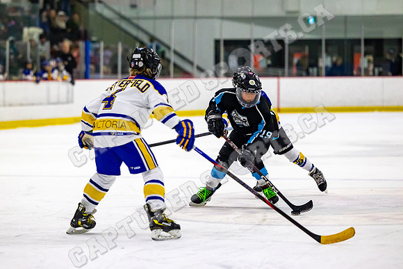 CSP_2231