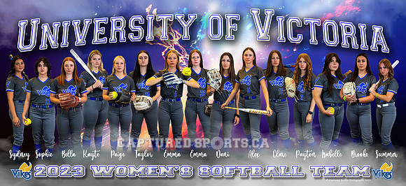 VikesSoftballBanner_2023_FINAL