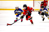 Nanaimo Clippers U9C4